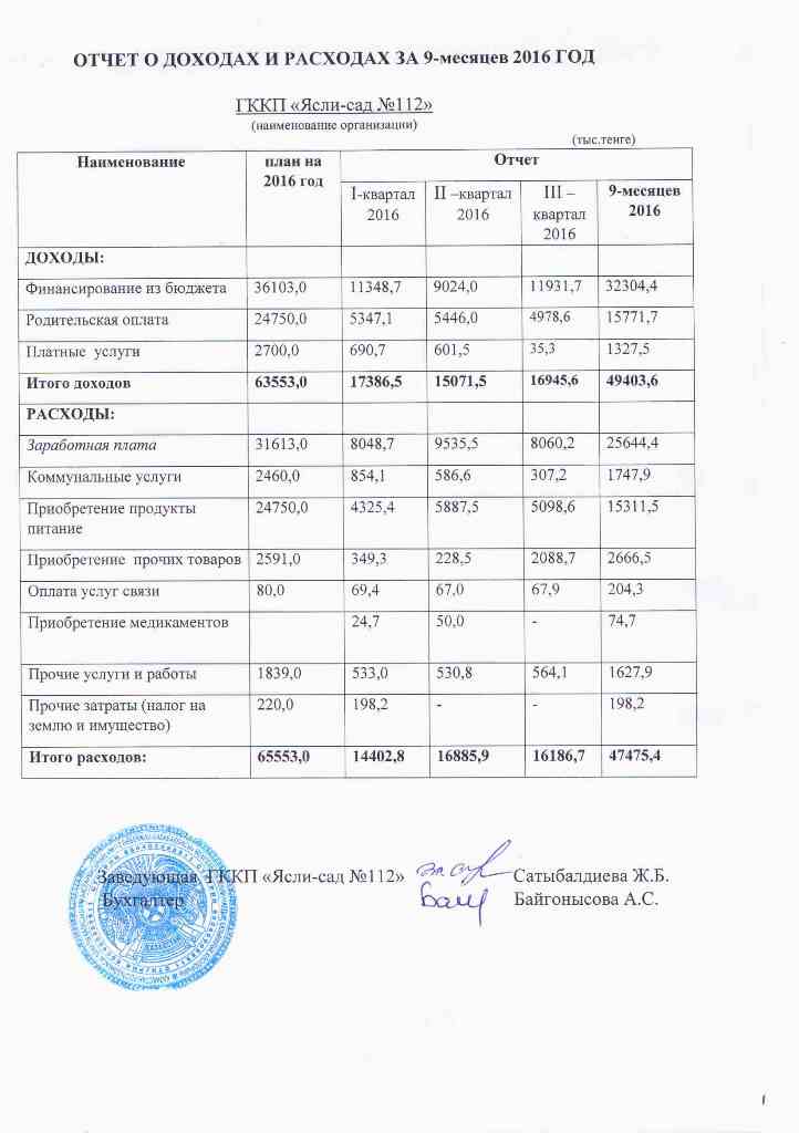 Отчет о доходах и расходах за 9 месяцев 2016 года